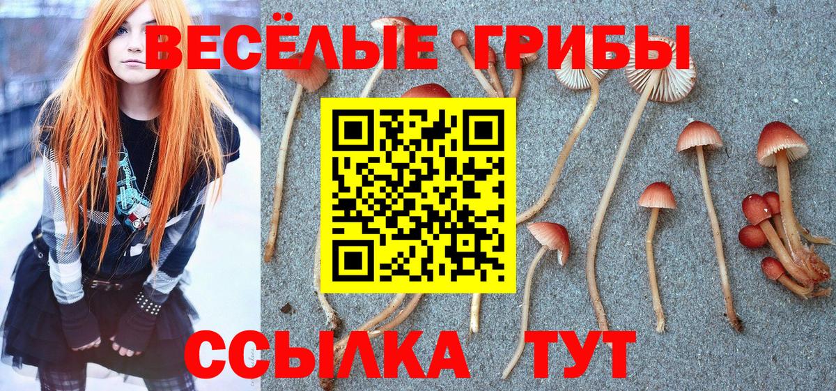 Галлюциногенные грибы Cubensis Протвино