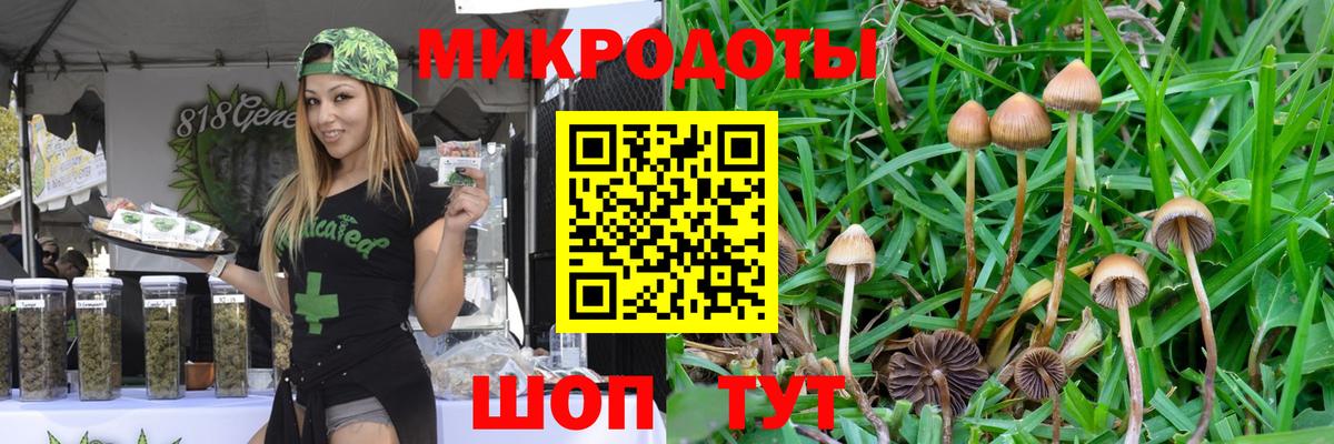 Псилоцибиновые грибы мицелий  купить закладку  Протвино  Вход с VPN 